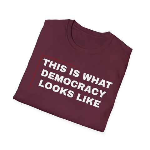 This is what Democracy Looks Like